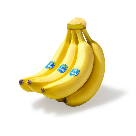Chiquita bananas class extra