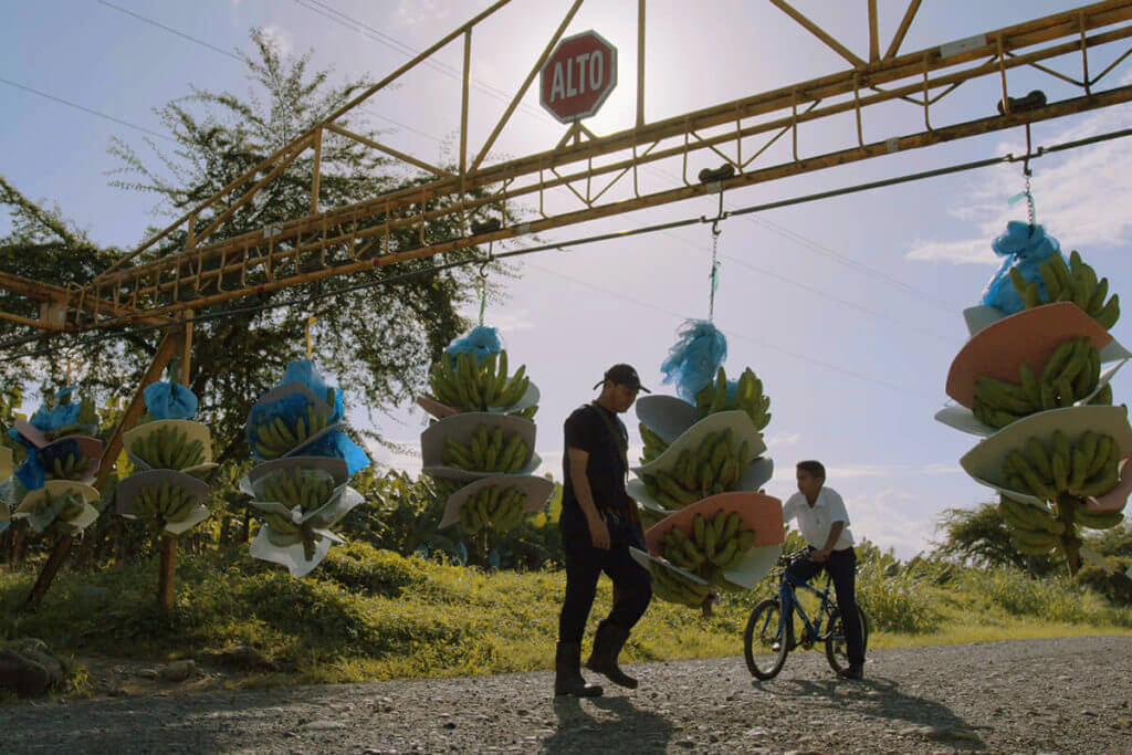 Chiquita announces new updated Sustainability Report - 1