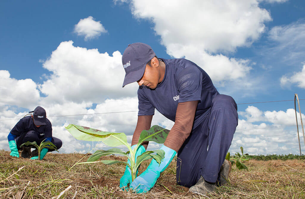 Chiquita announces new updated Sustainability Report - 2