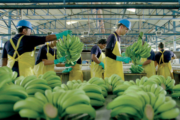 Farmer’s code Sustainability