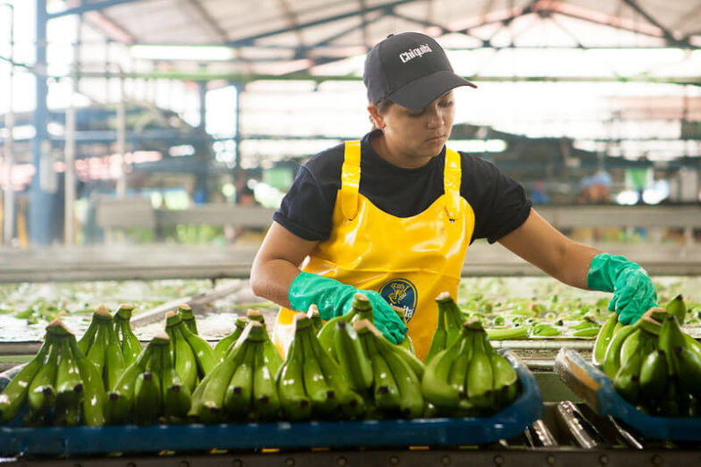 Water footprint management on Chiquita farms saves 1.8 billion liters of water each year - 1