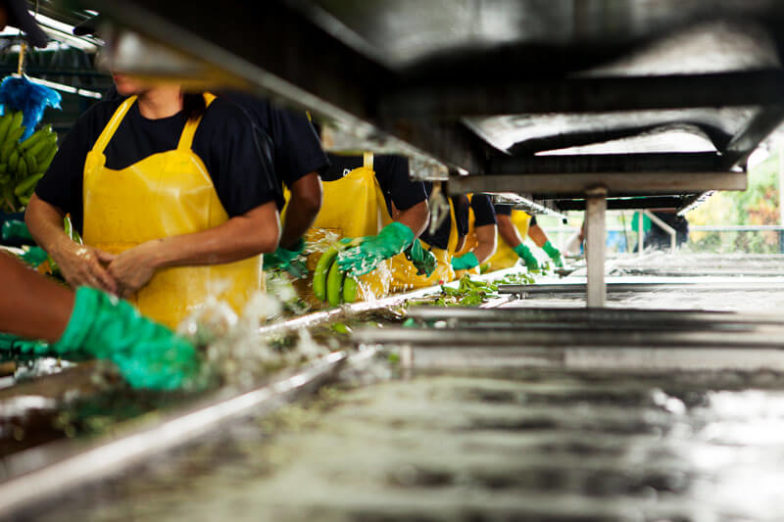 Water footprint management on Chiquita farms saves 1.8 billion liters of water each year - 2