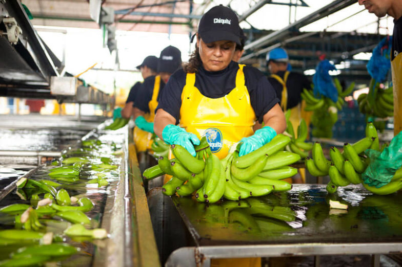 Water footprint management on Chiquita farms saves 1.8 billion liters of water each year - 3