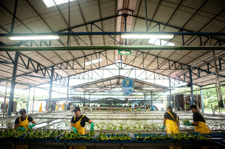 Water footprint management on Chiquita farms saves 1.8 billion liters of water each year - 4