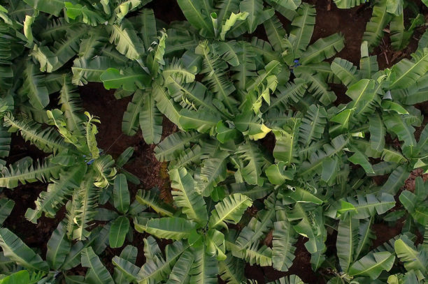 Farmer’s code Sustainability