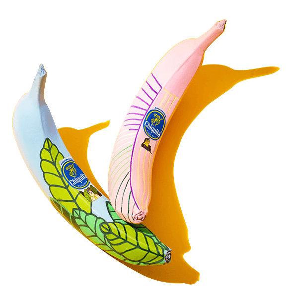 Banana Artist Sticker