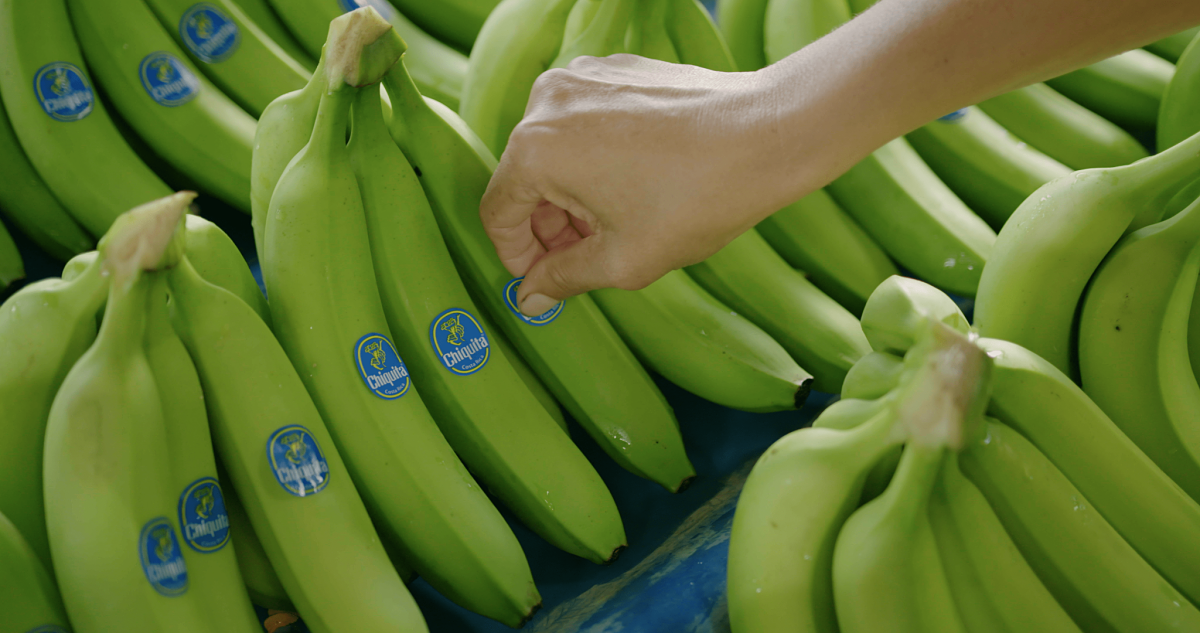 Chiquita - Behind the blue sticker - placing sticker 01- still 4096x2160-min_opt