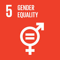 goal_5_gender equality