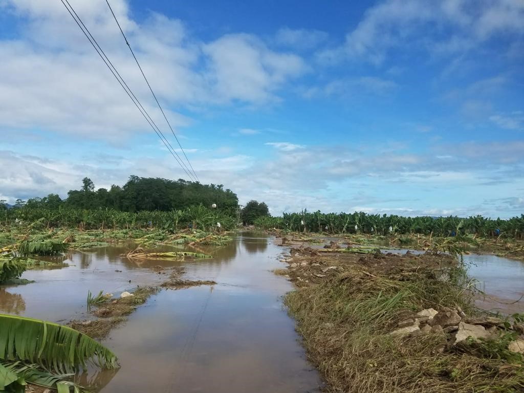 Chiquita on the Global Day for Climate Action